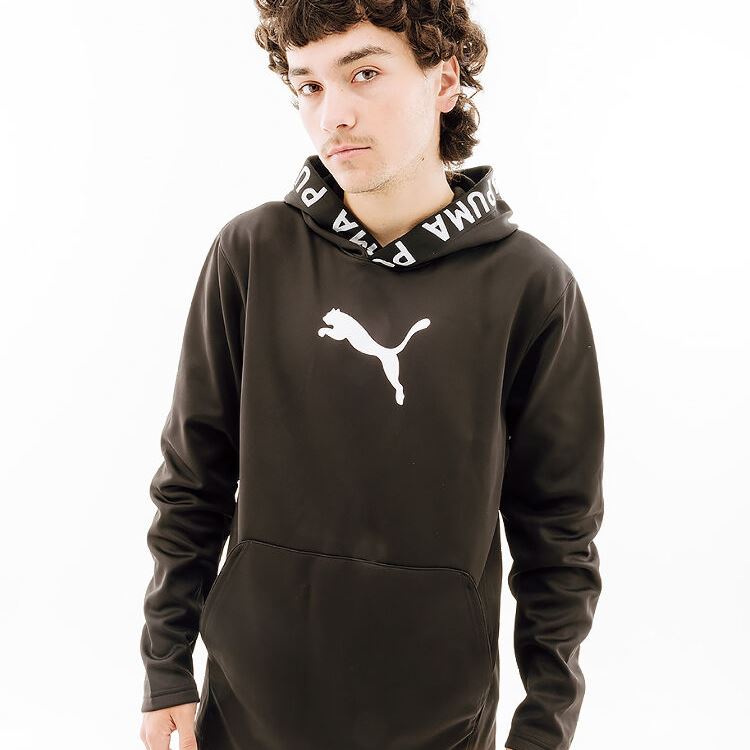 Кофта Puma Train Pwr Fleece Hoodie 52089301