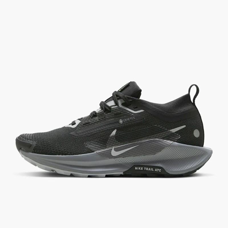 Кросівки Nike Pegasus Trail 5 Gore-Tex FQ0912-001