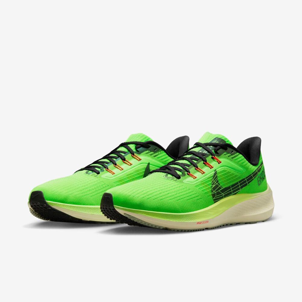 Кросівки Nike Air Zoom Pegasus 39 DZ4776-343