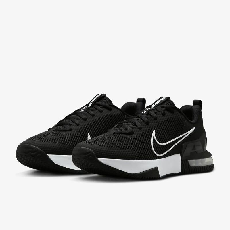 Кросівки Nike Air Max Alpha Trainer 6 FQ1833-001