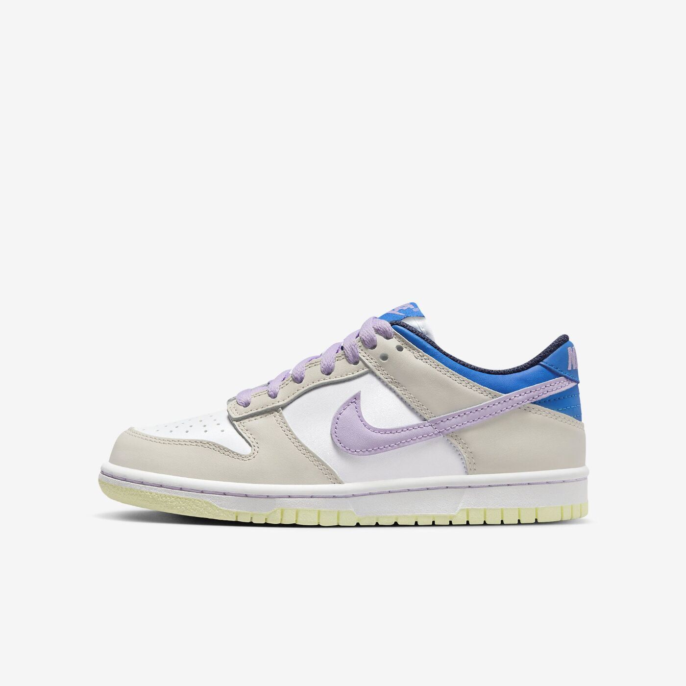Кросівки Nike Dunk Low FB9109-103