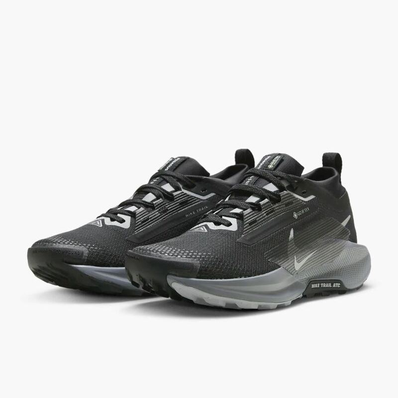 Кросівки Nike Pegasus Trail 5 Gore-Tex FQ0912-001